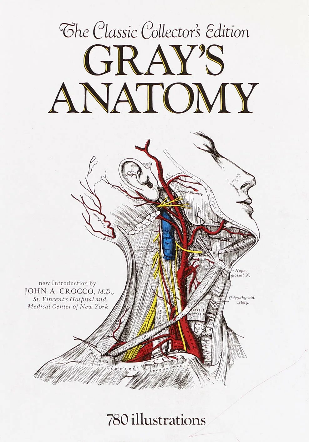 Атлас грея. Атлас анатомии Грея учебное пособие. Grey's Anatomy книга.