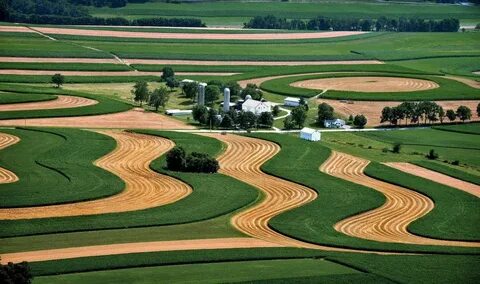 Farmland