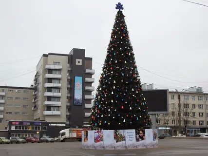 Ели ели сургут