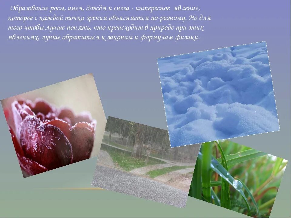 Доклад на тему роса. Роса дождь и снег. Как образуется роса. Сообщение на тему иней. Почему выпала роса