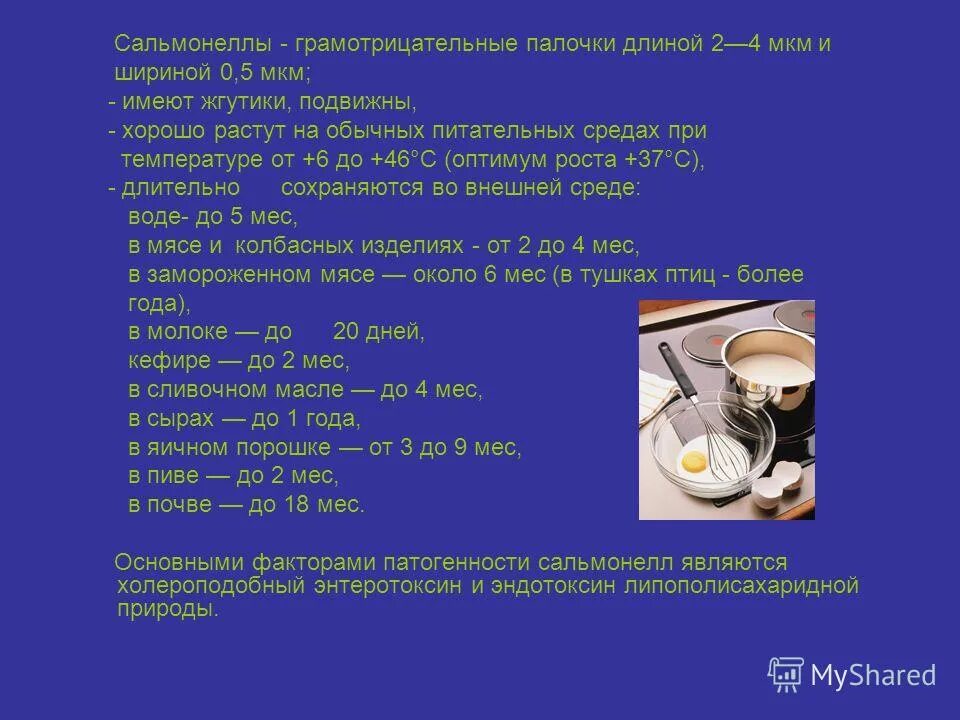 Температура при сальмонеллезе. Сальмонелла убивается при температуре. Сальмонеллез при какой температуре погибает. При какой температуре погибает сальмонелла. Сальмонелла в яйцах при какой температуре.