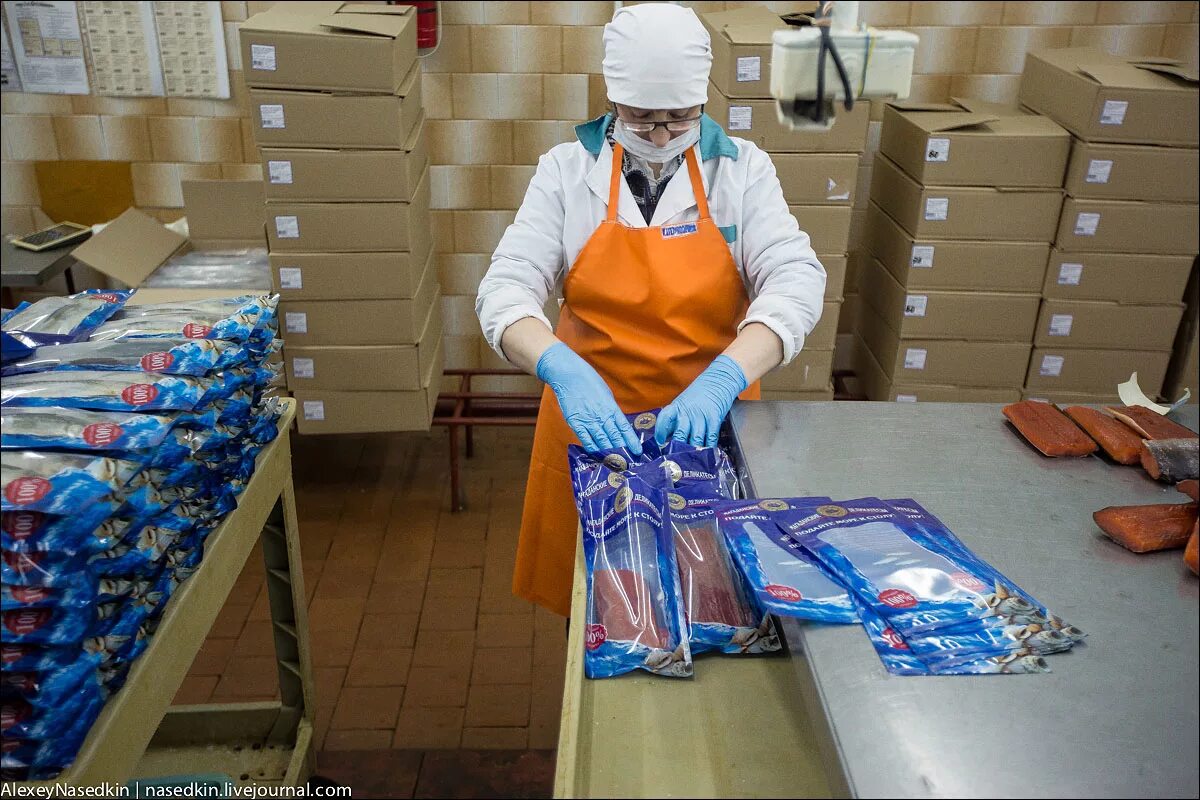 Рыбный завод. Упаковщик рыбной продукции. Упаковщик морепродуктов. Переработка рыбы. Работник пищевого производства.