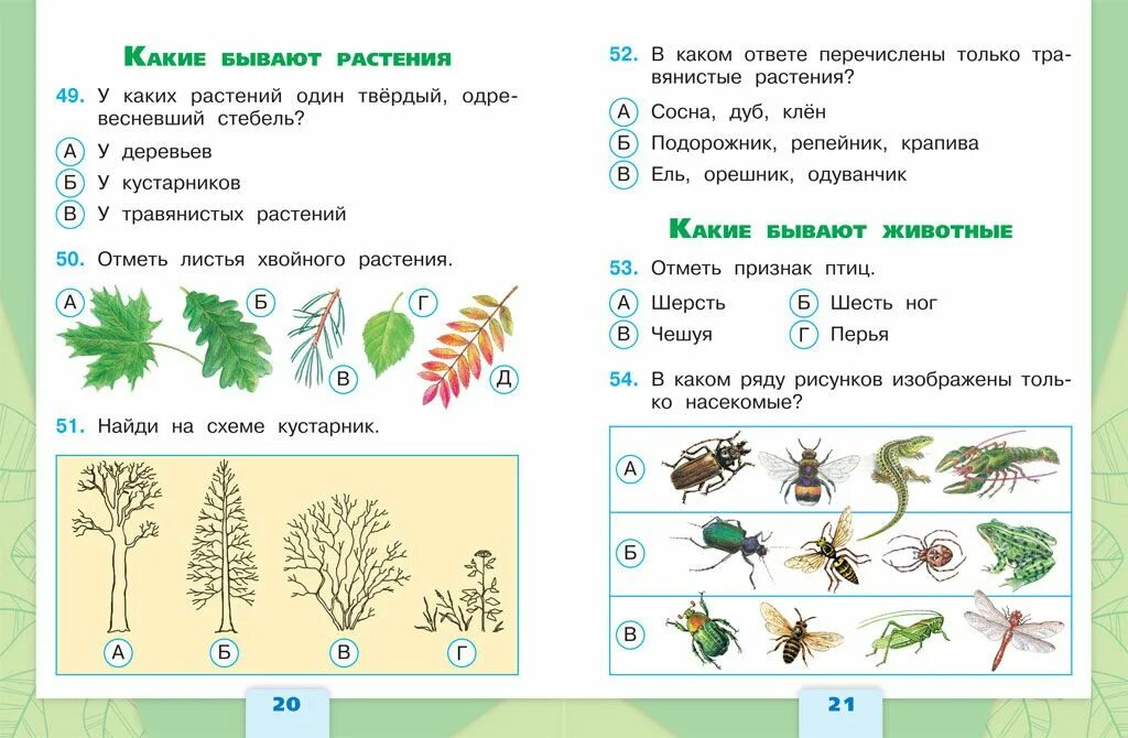 На воде и в лесу тест. Окружающий мир 1 класс школа России задания. Задания для первого класса по окружающему миру. Заданияя по окружающему мит. Задания по окружающему миру 2 класс.