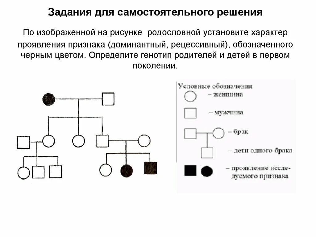 Задачи с доминантными и рецессивными признаками решение. ЕГЭ биология генетика задачи родословная. Родословная схема по генетике по генотипам. Решение генетических задач по схемам. Задача на родословную ЕГЭ.