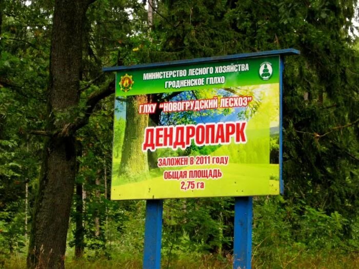 График работы дендрарий