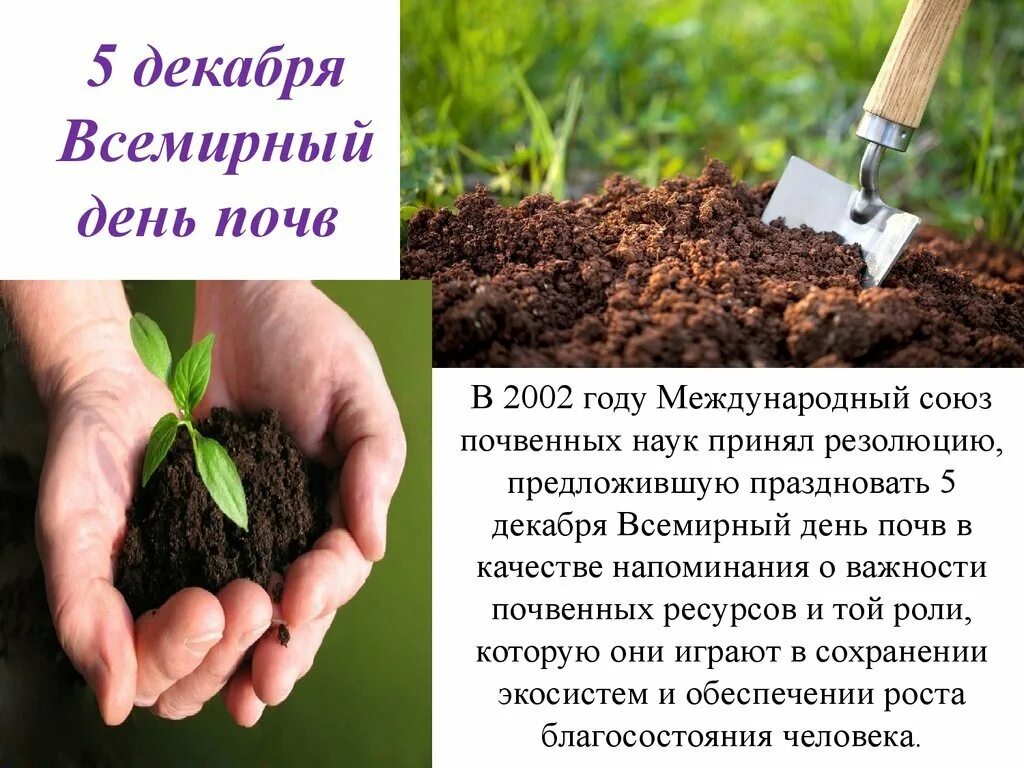 5 декабря праздник день почвы. Экологический день земли. Экологические даты и праздники. Экологические дни день почв. Всемирный день почв.