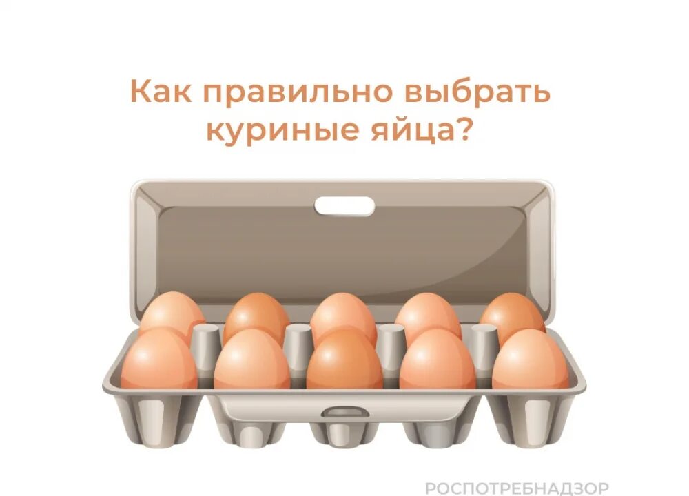Как правильно выбирать яйца. Выбираем яйцо. Выберите яйцо. Закупка яиц.