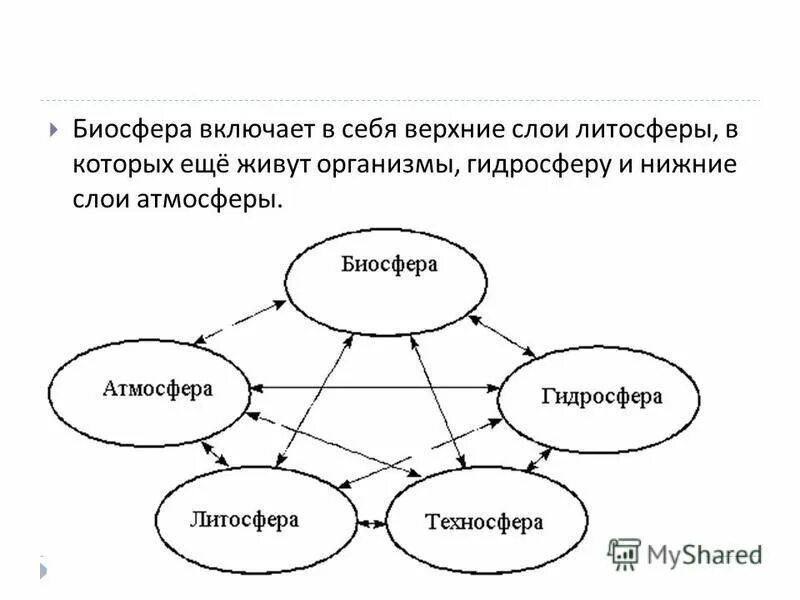 2 биосфера включает