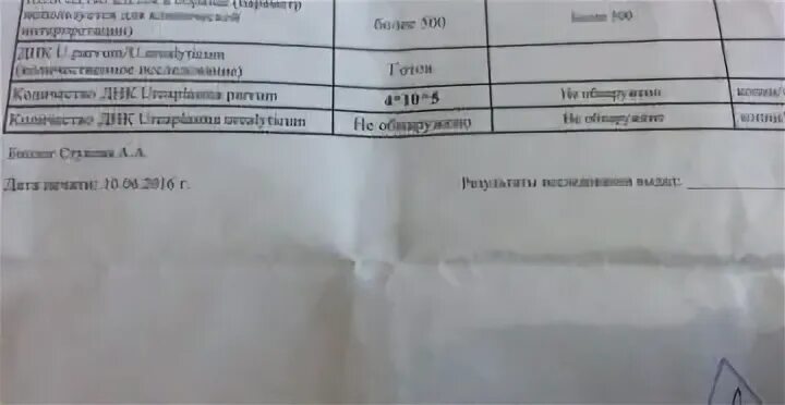 Уреаплазма парвум 10 в 10 степени. Уреаплазма у женщин при беременности. уреаплазма парвум. уреаплазма парвум норма. уреаплазма парвум у женщин.