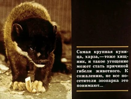 Факты о зоопарке