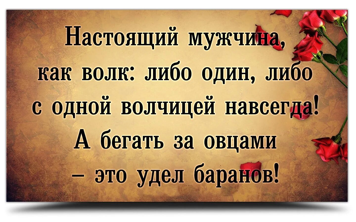 Разбить семью. Поговорка на чужом несчастье счастья не построишь. Открытка на чужом несчастье, счастье не построишь. Пословица на чужом горе счастья не построишь. На чужом горе счастья не построишь цитаты.