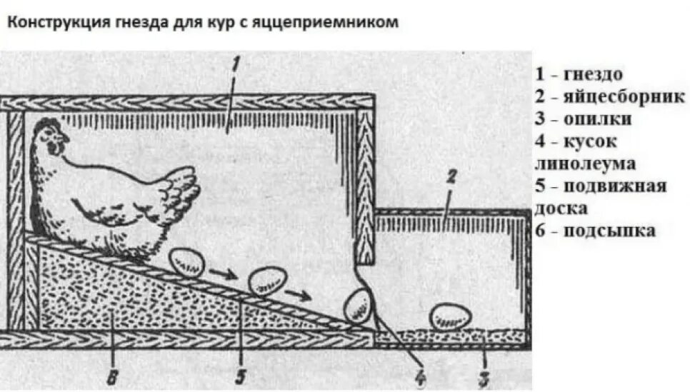 Что сделать чтобы куры не клевали. Гнездо для несушек с яйцесборником чертеж. Гнезда с яйцеприемником для кур. Насесты для кур несушек с яйцесборником своими руками. Гнёзда для кур несушек с яйцесборником чертежи.