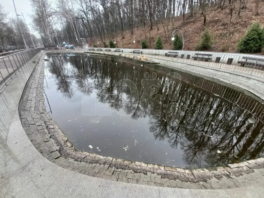 Пруд в парке. Водохранилище. Пруд в Центральном парке Воронежа. Центральный парк Воронеж. Пропал пруд