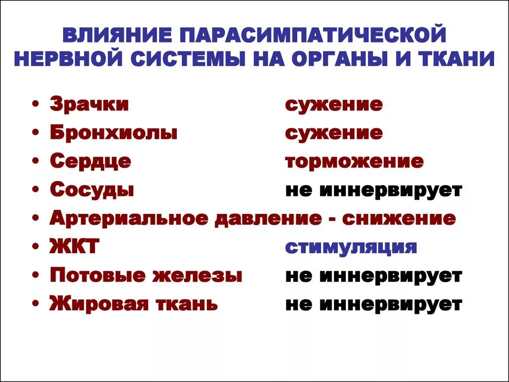 Симпатические нервы оказывают влияние. Парасимпатическая система влияние на органы. Эффекты парасимпатической нервной системы. Влияние парасимпатической нервной системы на органы. Влияние парасимпатической и парасимпатической системы на органы.