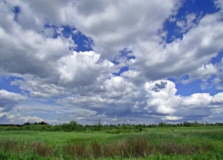 Под sky