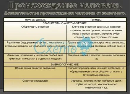 Происхождение животных таблица