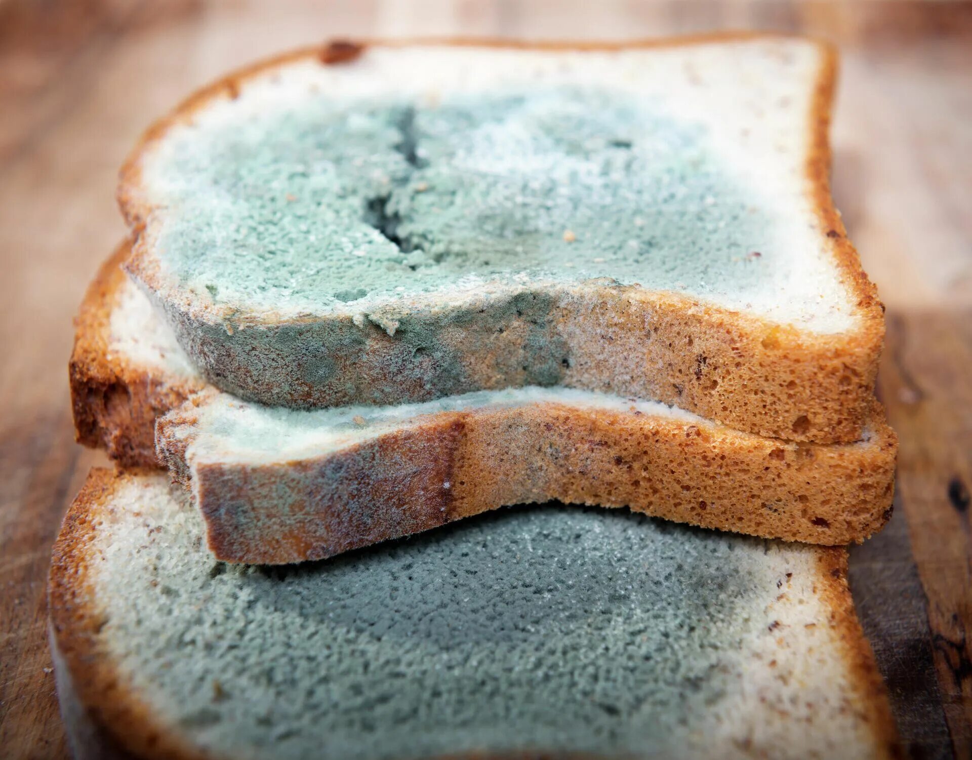 Хлеб без плесени. Плесень на хлебе. Зеленая плесень на хлебе. Черная плесень на хлебе. Белая плесень на хлебе.