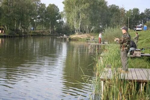 Барыбино рыбалка. Барыбино пруды. Барыбино платная рыбалка. Барыбино озеро платная рыбалка.