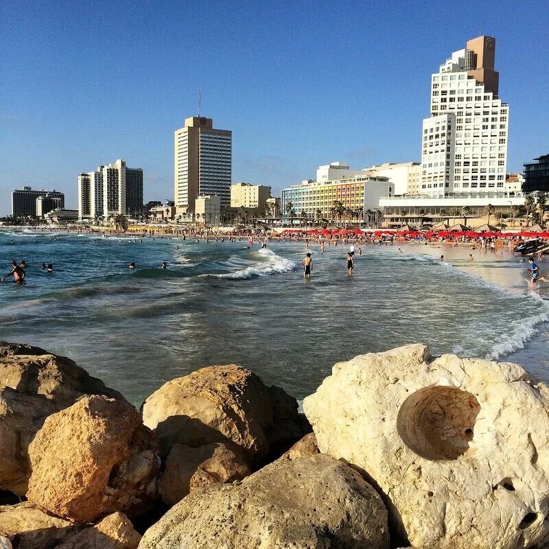 Тель Авив пляж. Пляж Тель Авива. Тель Авив Центральный пляж.
