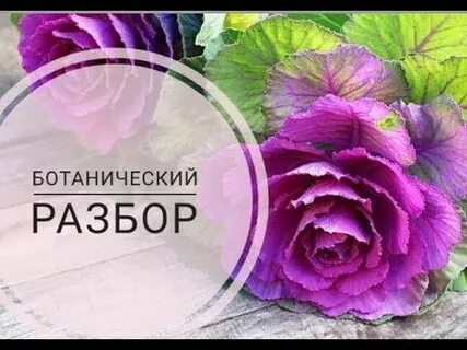 Цветочный разбор