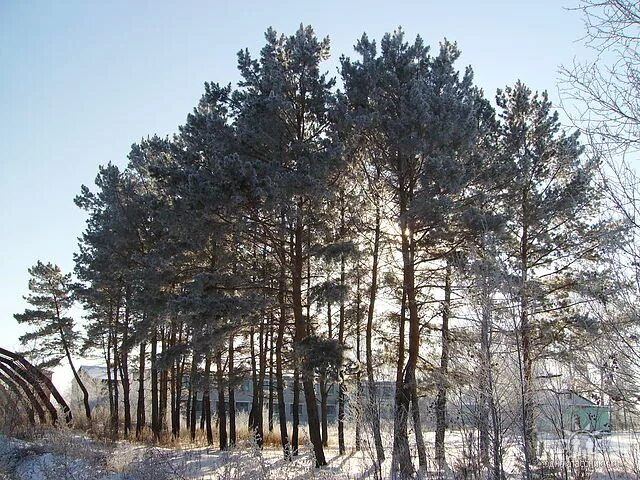 Погода амурская область белогорск на 10 дней. Томичи Амурская область Белогорский район. Поздеевка Амурская область Белогорский район. С Чернетчено Белогорского района Амурской области. Кульдур Амурская область Белогорский район.