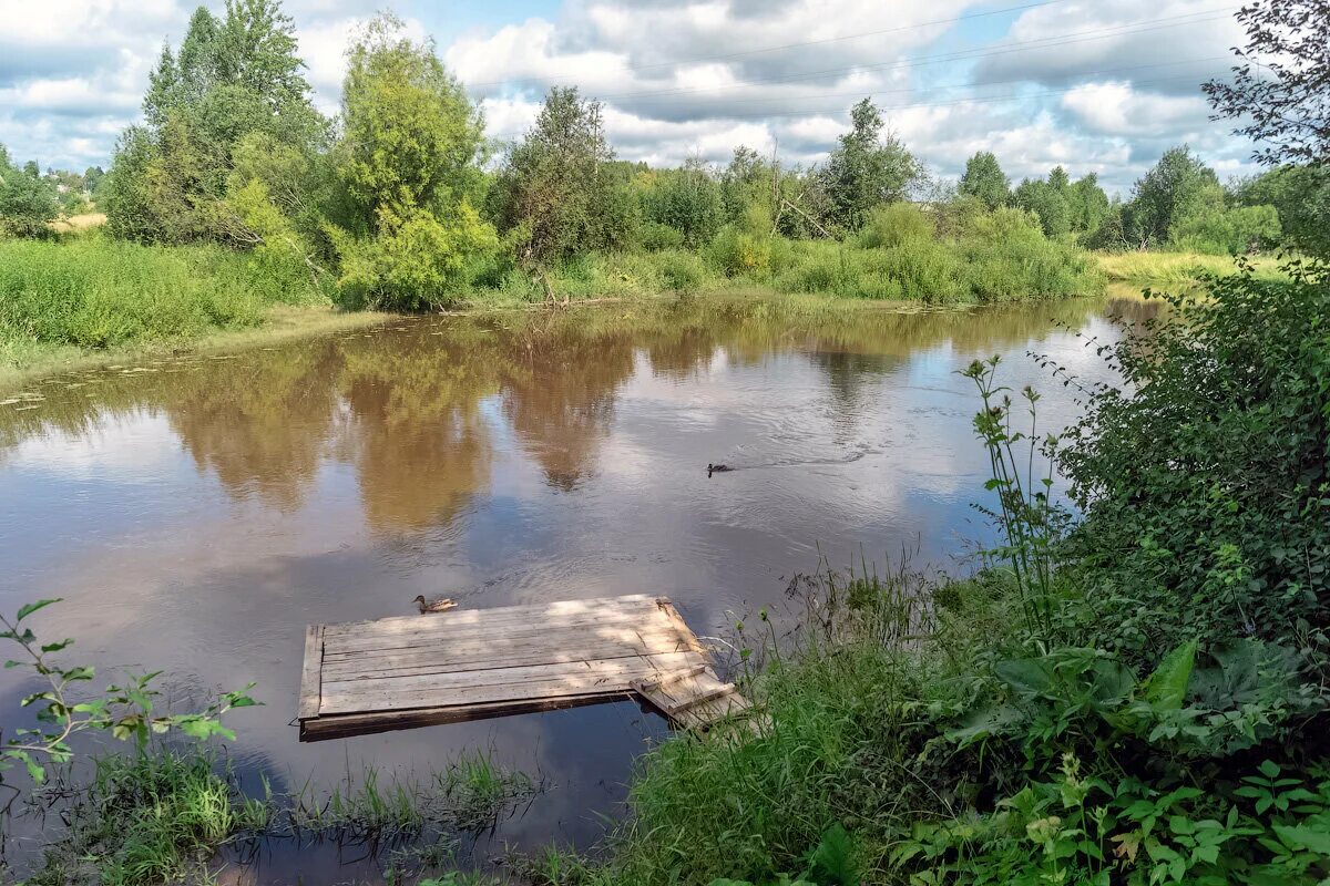 Павино река вочь. Павино (село, Костромская область). Река Боровая Костромская область. Природа Костромской области. Погода на неделю в павино костромской области