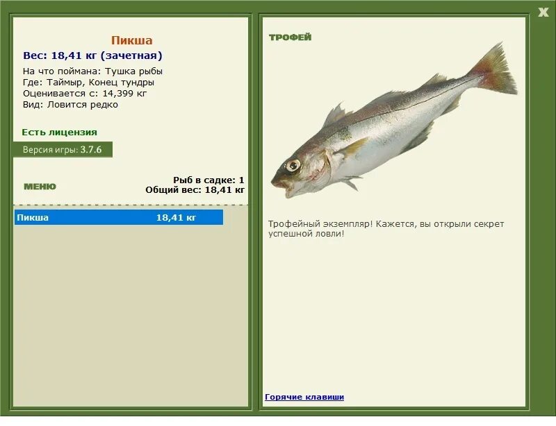 Суп мясной сколько калорий в 100 грамм. Сколько калорий в пикше. Содержание белков в мясе рыбы. Пыжьян рыба фото описание. Сколько калорий в пикше.