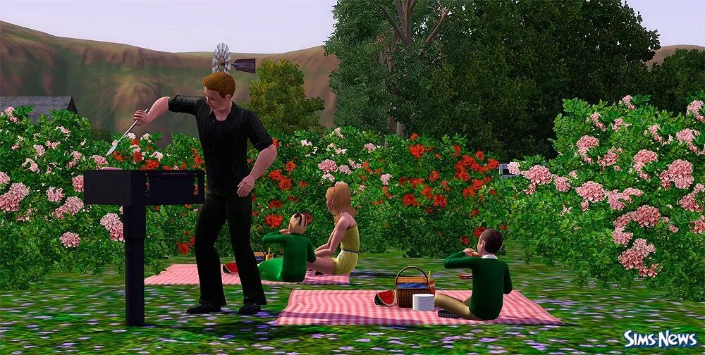 Как в симс 3 приготовить. Симс 3. Амброзия блюдо симс 3. Как в симс 3 приготовить. Фалафель симс 3.