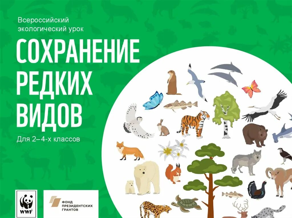 Экологический урок 2. Сохранение редких видов. Сохранение видов животных. Всероссийский экологический урок «сохранение редких видов». Урок экологии 4 класс.