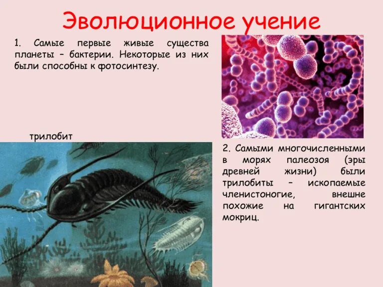 Первые живые существа появились на нашей планете. Эволюционное учение. Эволюционное учение презентация. Первые живые существа на планете. Эволюционая учения.