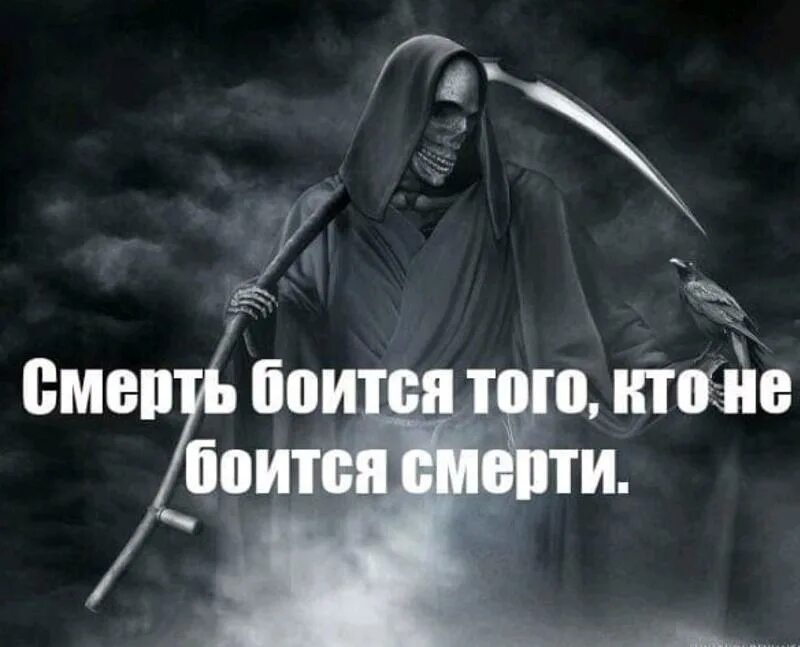 Не надо бояться жить. Смерть. Фразы про смерть. Смысл смерти.