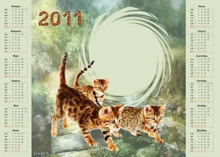 Рамки 2011