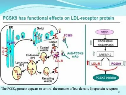 Ингибиторы pcsk9