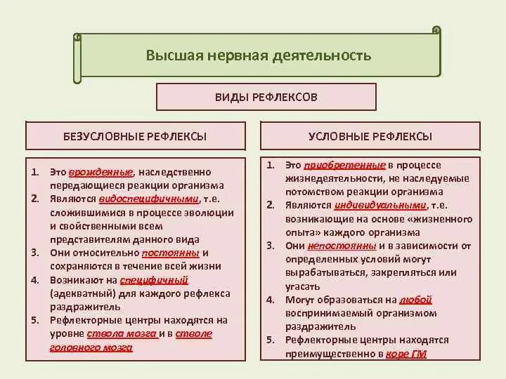 Виды рефлексов. Условные и безусловные рефлексы. Условные врожденные рефлексы. Условные рефлексы человека таблица. Роль в жизни безусловного рефлекса