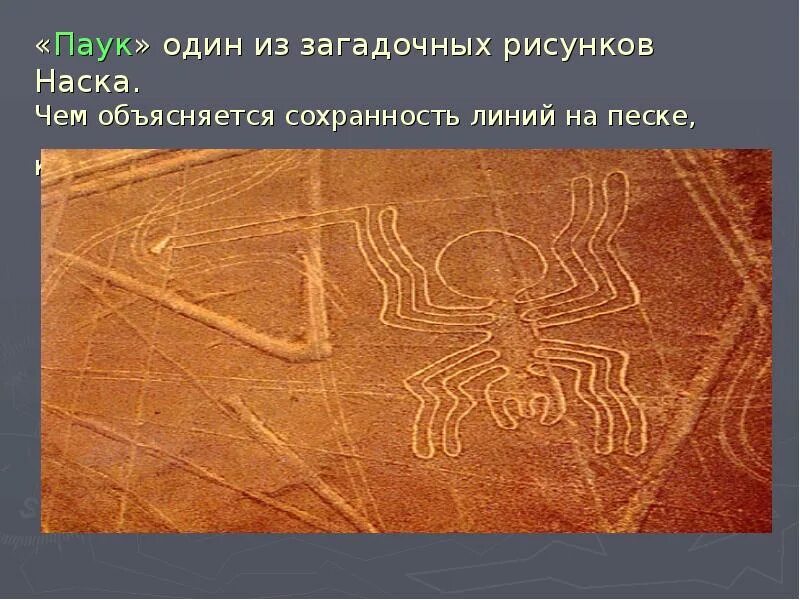 Петроглифы наска в векторах. В какой стране рисунки наска. Геоглифы пустыни наска. Плато наска эзотерика. Перу пустыня наска.