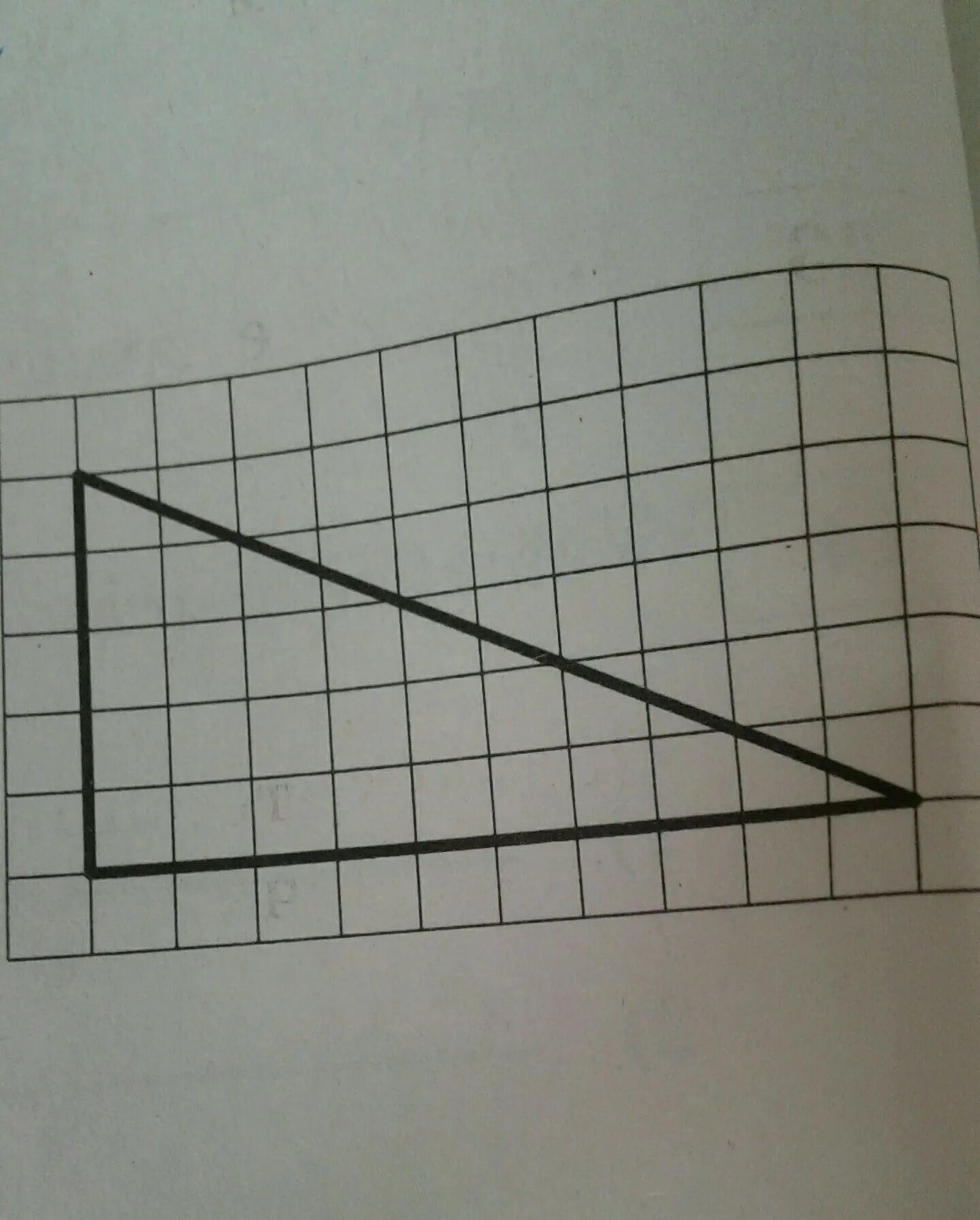 Прямоугольный треугольник на клетки 1х1. Клетчатая бумага. Треугольник на клетчатой бумаге. На клетчатой бумаге с размером 1х1.