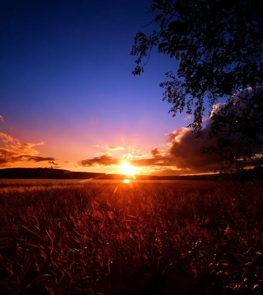 Природа закат. Пейзаж закат. Закат земли. Закат земли. Вечернее небо.