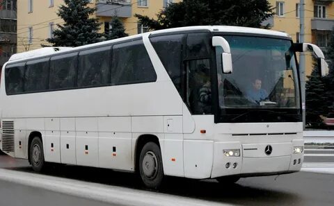 Автобус недорого москва