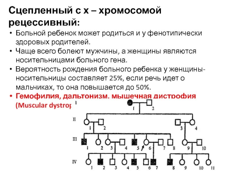 Наследование сцепленное с х хромосомой. X сцепленный рецессивный Тип наследования. Сцепленный с х хромосомой рецессивный Тип наследования. Сцепленно с х-хромосомой наследуются.