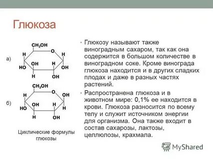 Глюкоза и фруктоза в растениях