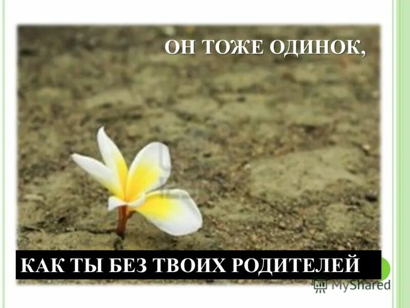 также одиноко. картины со смыслом одиночества. девушка ждет. одинокий человек. хроническое одиночество.