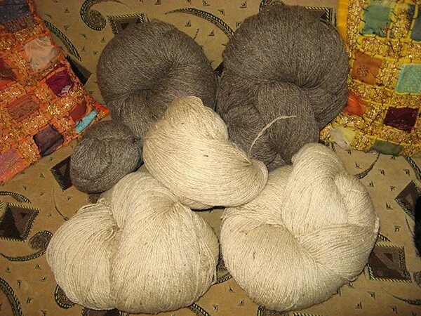 Шерсть презентация. Натуральная овечья шерсть. Шерсть волокно. Шерсть презентация. Собачья шерсть.