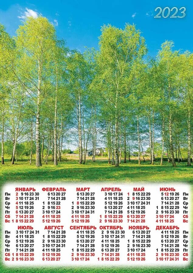 Настенный календарь природа. Календарь 2023 природа. Календарь листовой настенный на 2023. Календарь на 2023 год с природой.