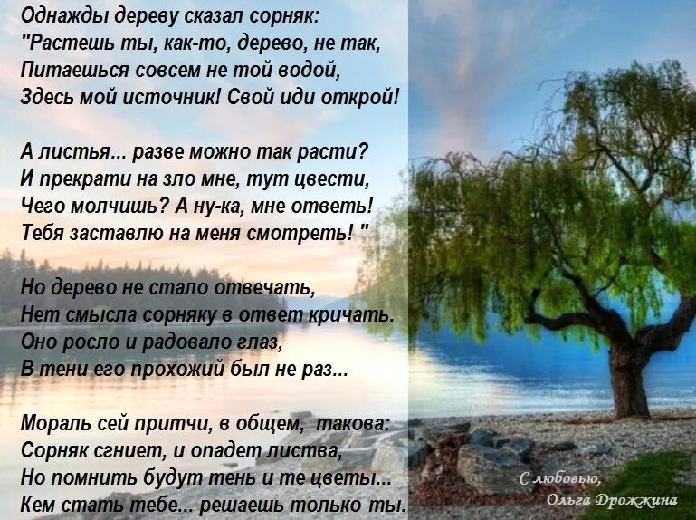 Смотрю как деревья растут. Христианские стихи. Христианские притчи в стихах. Христианские стихи для детей. Христианские стихи о жизни.