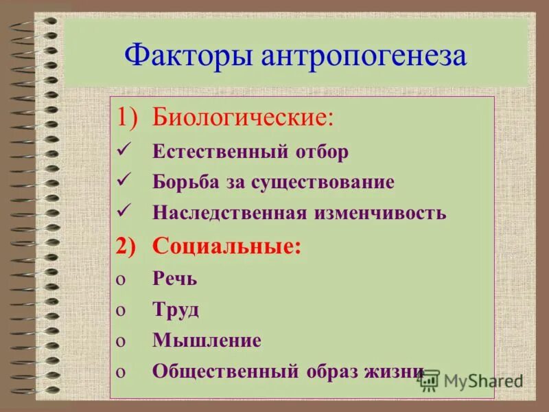 К социальным факторам антропогенеза относятся. Биологические факторы антропогенеза. Социальные факторы антропогенеза. Антропогенез факторы антропогенеза. Факторы антропогенеза биологические и социальные.