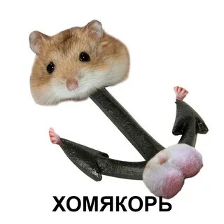 Пингвинишко