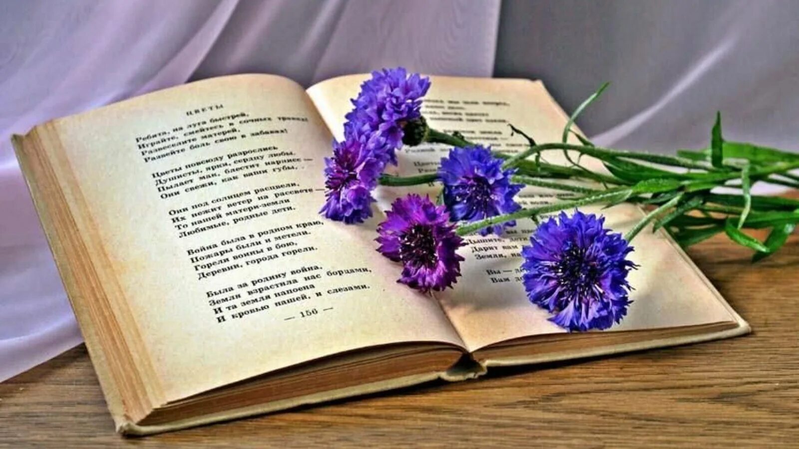 Слова о поэзии и поэтах. Книга цветы. Книга стихов. Книга с цветами. Открытка с книгой и цветами.