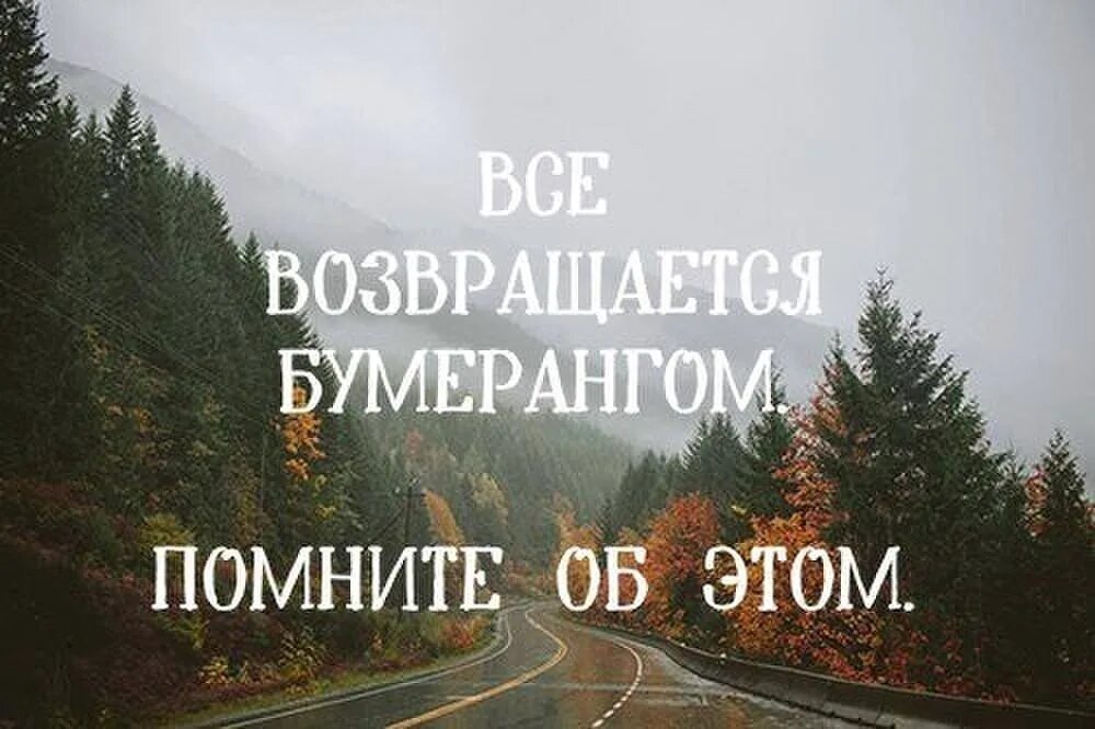 Про бумеранг в жизни. Жизнь Бумеранг. Бумеранг цитаты. Цитаты про Бумеранг в жизни со смыслом. Жизнь Бумеранг цитаты.