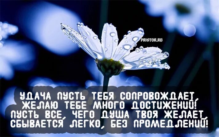 Пожелания успешности в жизни. Сопутствует удача поздравление. Открытка успехов. Удачи по жизни пожелание. Пусть удача сопутствует всем начинаниям