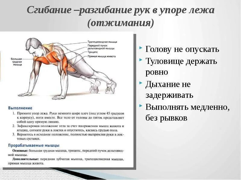 Подъем раз. Анатомический анализ положения упор лежа сзади. Упор лежа спереди. Сгибание и разгибание рук в упоре лежа. Отжимание в упоре лежа.